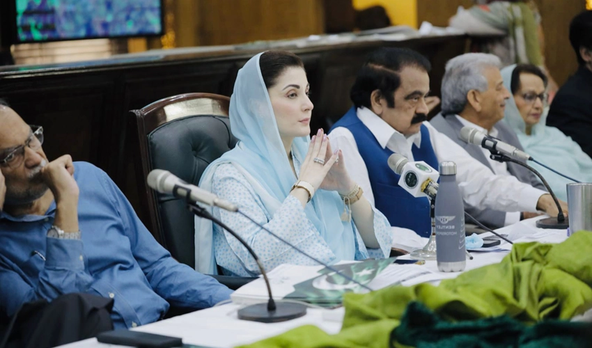 Nawaz Sharif is a guarantee of getting rid of inflation, hefty bills: Maryam