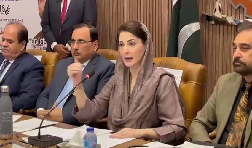 Nawaz Sharif's agenda is revival of economy, says Maryam Nawaz