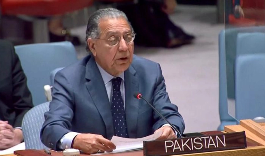 Pakistan pushes for focusing on UNSC failure to end Israel’s war against Gaza