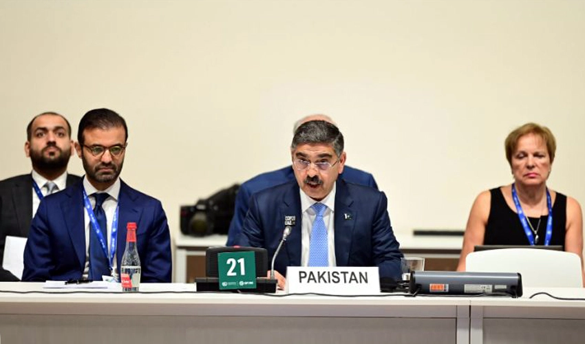 Caretaker PM for fulfilling growing needs of developing countries to implement climate actions