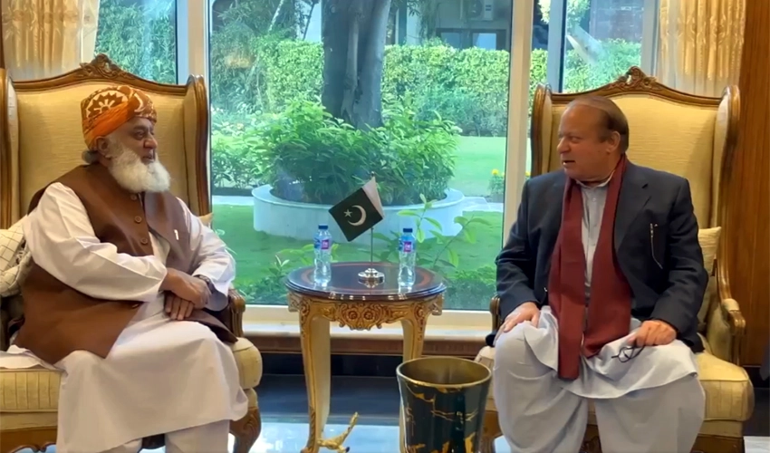 Nawaz Sharif, Maulana Fazalur Rehman discuss seat adjustment