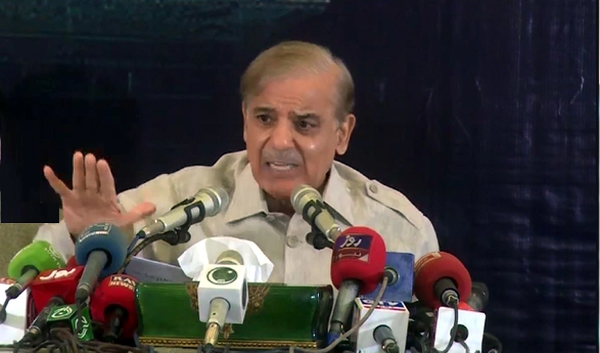 Indian SC violated international laws by giving verdict against UN resolutions: Shehbaz Sharif