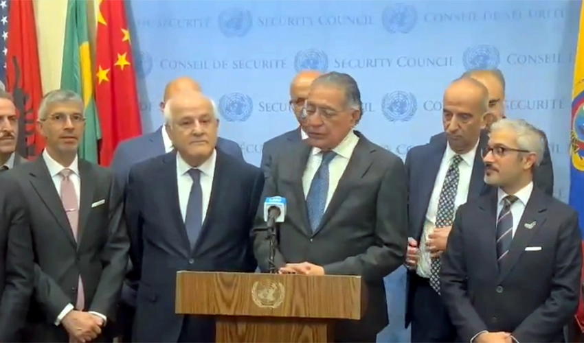 UNGA calls for immediate ceasefire in Gaza, Pakistan warns of Israel’s goal to erase Palestine