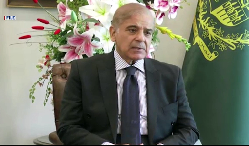PTI hatching conspiracy for postponement of elections on Feb 8: Shehbaz Sharif