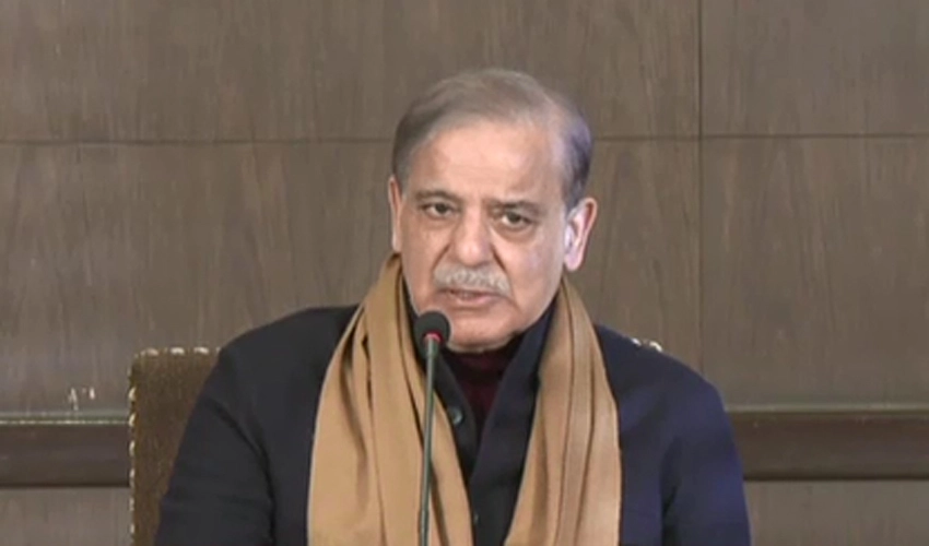 Saved country from bankruptcy by putting our politics at stake: Shehbaz Sharif