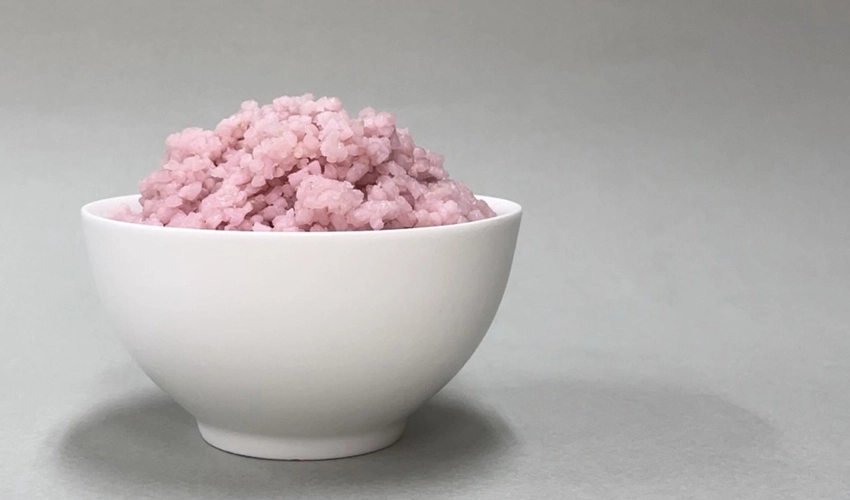 South Korean scientists develop sustainable 'meaty rice'