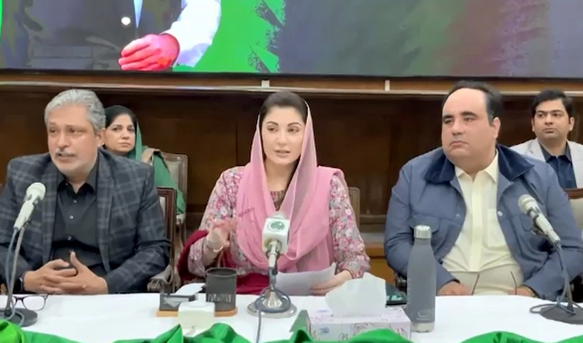 PML-N's winning candidates express full confidence in Maryam Nawaz as Punjab CM
