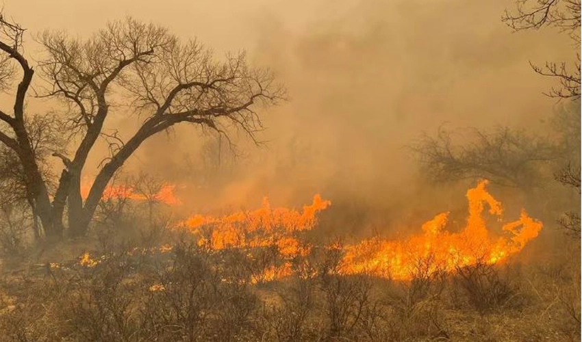 One death reported as wildfires rage across Texas panhandle