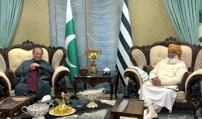 Nawaz Sharif seeks Maulana Fazalur Rehman's support for election of PM, President