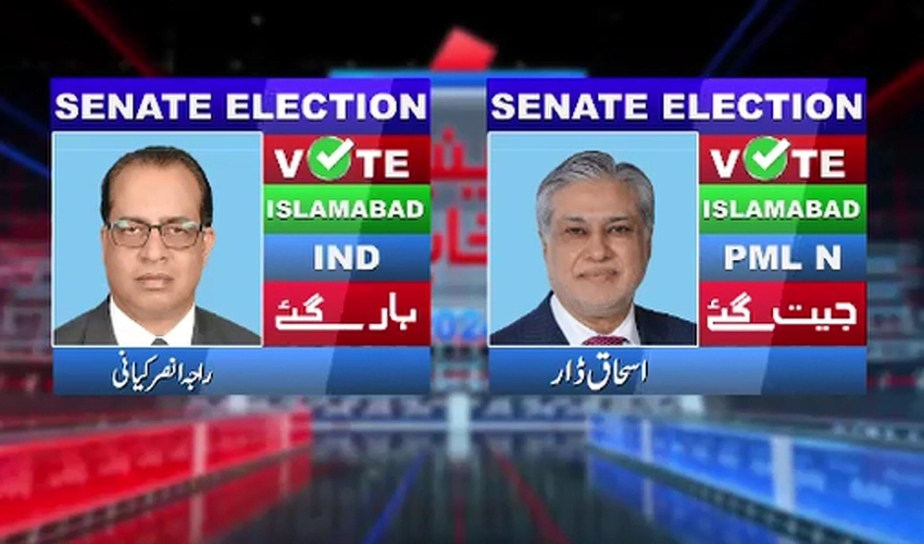 Ishaq Dar, Rana Mehmoodul Hassan win Senate elections