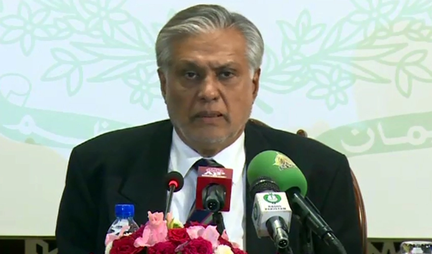 We raised voice on Gaza, Kashmir & Islamophobia at OIC: Ishaq Dar