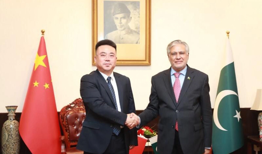 Ishaq Dar invites Chinese companies to set up manufacturing, processing units in Pakistan