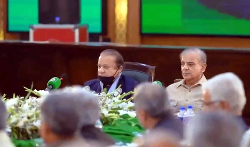 PM Shehbaz Sharif, Nawaz Sharif discuss federal and Punjab budget
