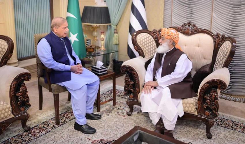 PM Shehbaz Sharif, Maulana Fazalur Rehman discuss political situation