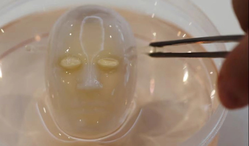 Say cheese: Japanese scientists make robot face 'smile' with living skin