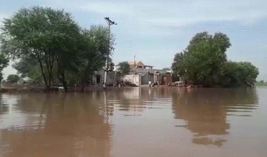 Incessant rain inundates low-lying areas in Punjab cities