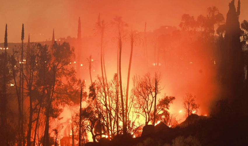 Thousands flee fast-spreading wildfire in northern California