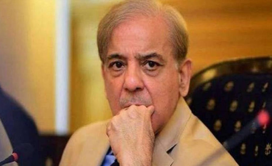 Govt issuing selective data to conceal its mismanagement: Shehbaz Sharif