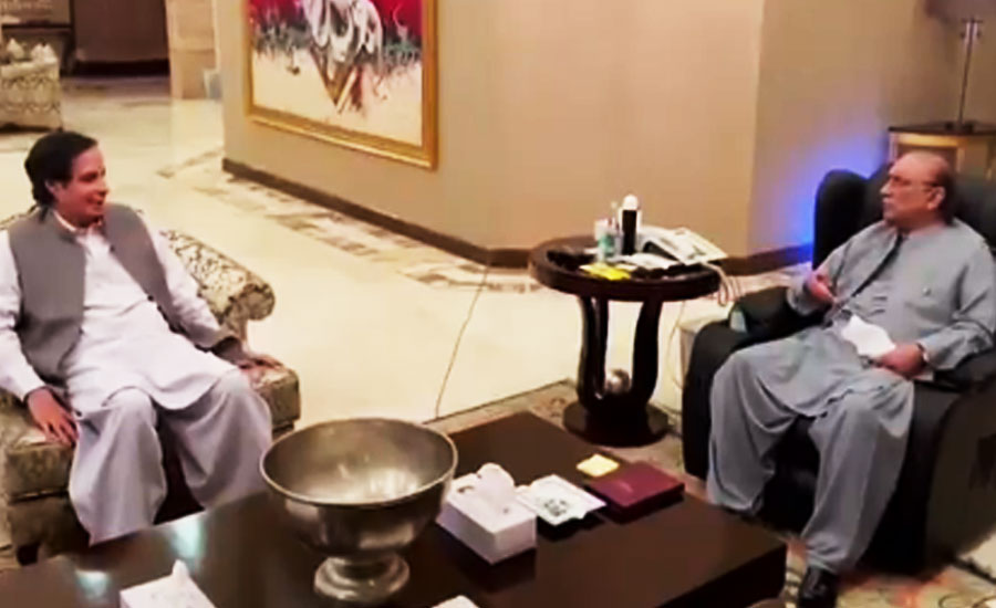Zardari, Pervaiz Elahi discuss political situation in one-on-one meeting