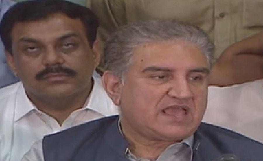 FM Qureshi again raised questions on role of FATF forum